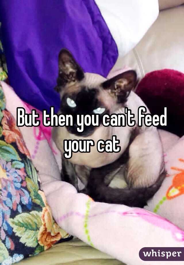 But then you can't feed your cat 