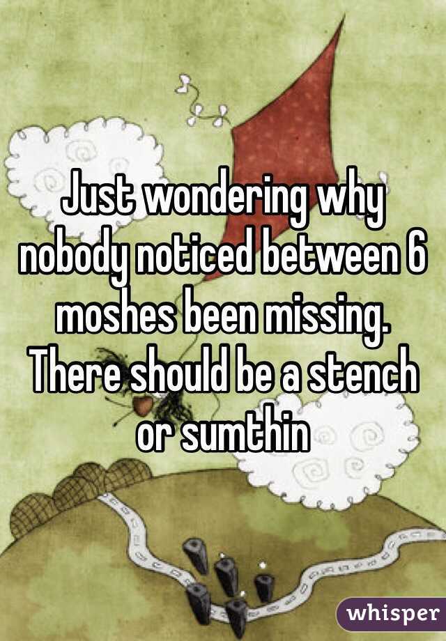 Just wondering why nobody noticed between 6 moshes been missing.  There should be a stench or sumthin