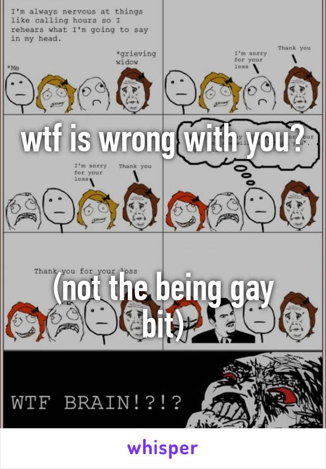 wtf is wrong with you?



(not the being gay bit)