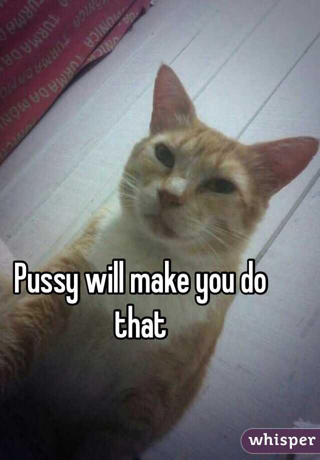 Pussy will make you do that