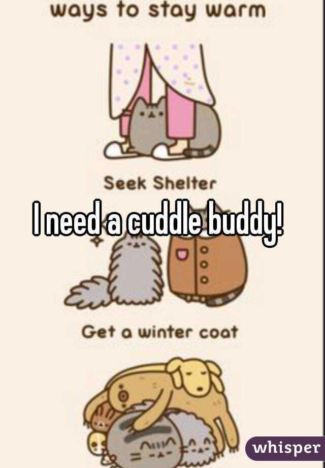 I need a cuddle buddy! 