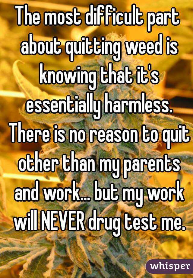 The most difficult part about quitting weed is knowing that it's essentially harmless. There is no reason to quit other than my parents and work... but my work will NEVER drug test me.