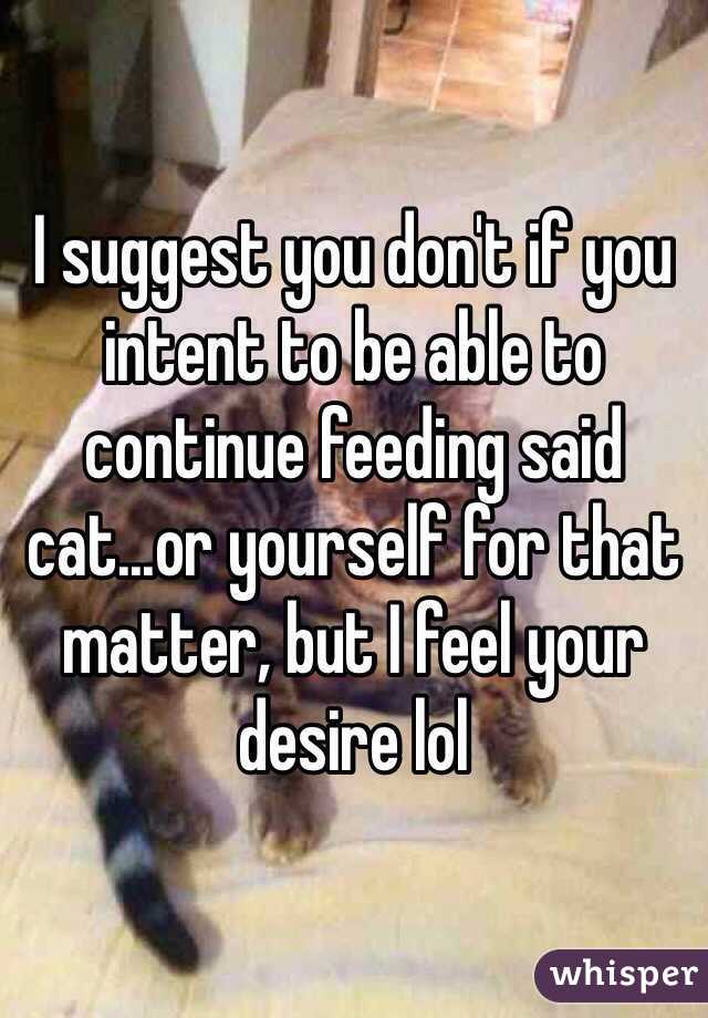 I suggest you don't if you intent to be able to continue feeding said cat...or yourself for that matter, but I feel your desire lol