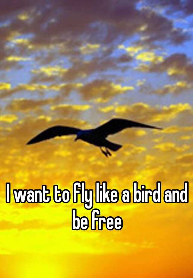free fly like a bird