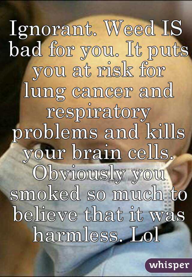 Ignorant. Weed IS bad for you. It puts you at risk for lung cancer and respiratory problems and kills your brain cells. Obviously you smoked so much to believe that it was harmless. Lol 