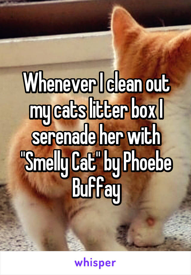 Whenever I clean out my cats litter box I serenade her with "Smelly Cat" by Phoebe Buffay