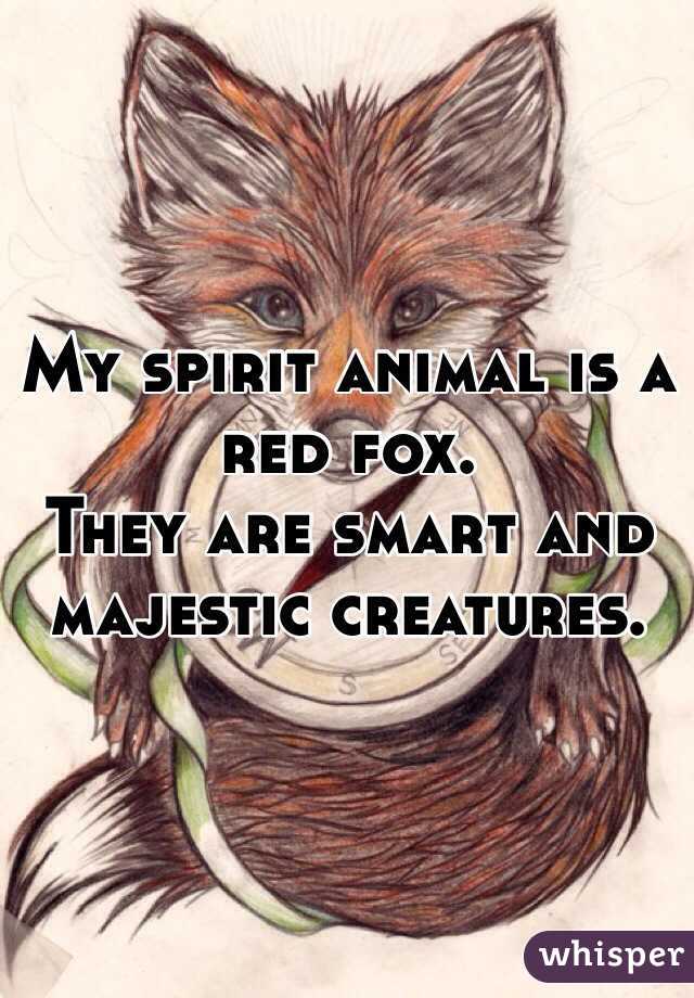 My spirit animal is a red fox. They are smart and majestic creatures.