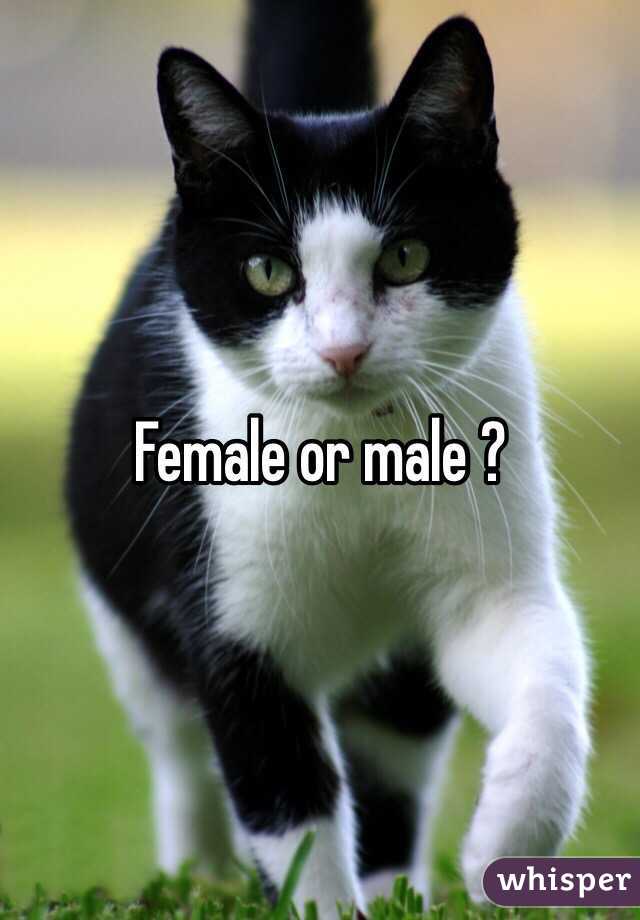 Female or male ? 