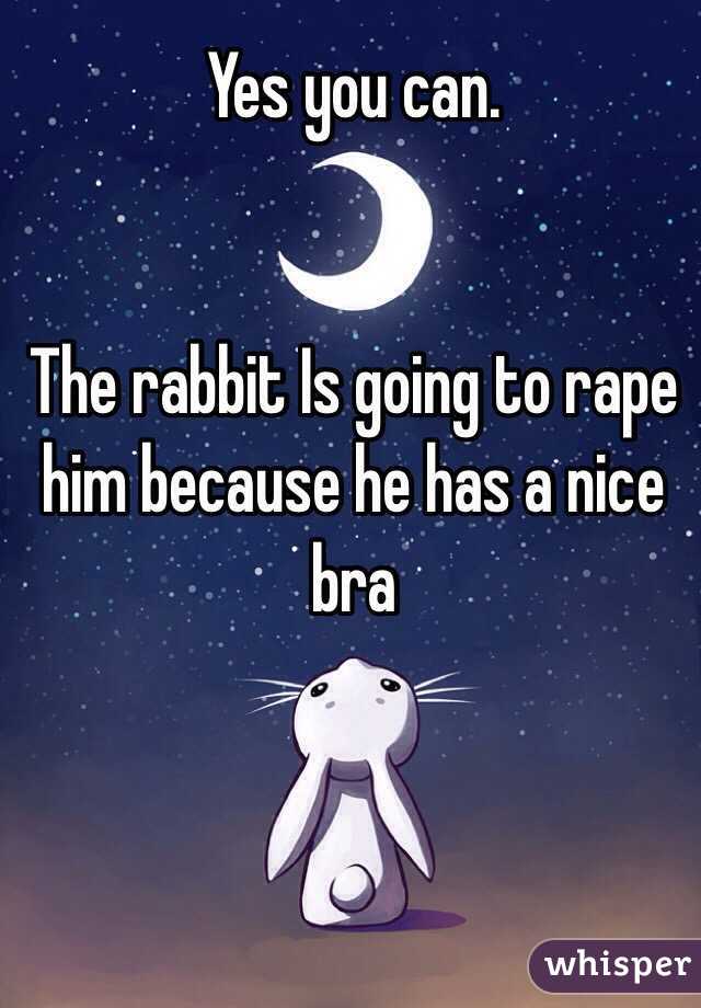 Yes you can.


The rabbit Is going to rape him because he has a nice bra