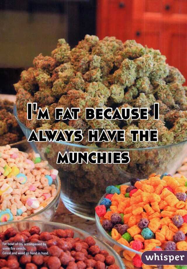 I'm fat because I always have the munchies