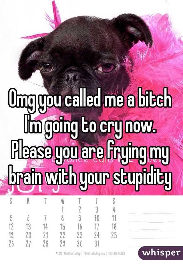 Omg you called me a bitch I'm going to cry now. Please you are frying my brain with your stupidity