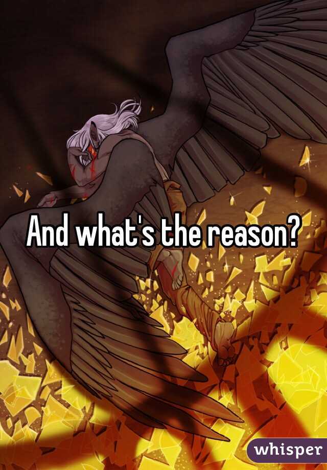 And what's the reason? 