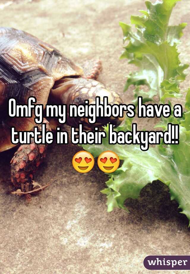 Omfg my neighbors have a turtle in their backyard!! 😍😍
