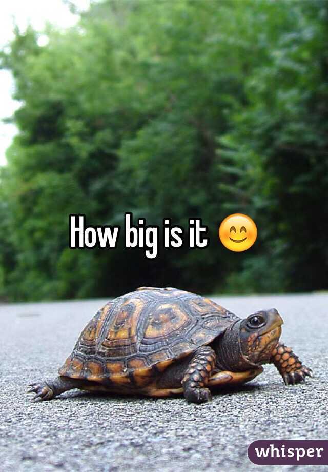 How big is it 😊