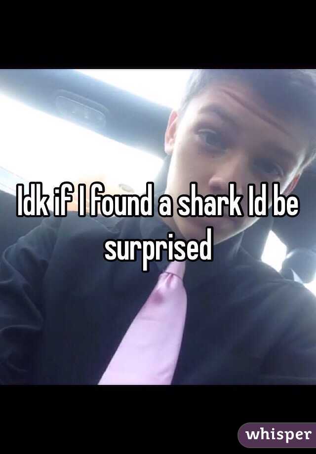 Idk if I found a shark Id be surprised 