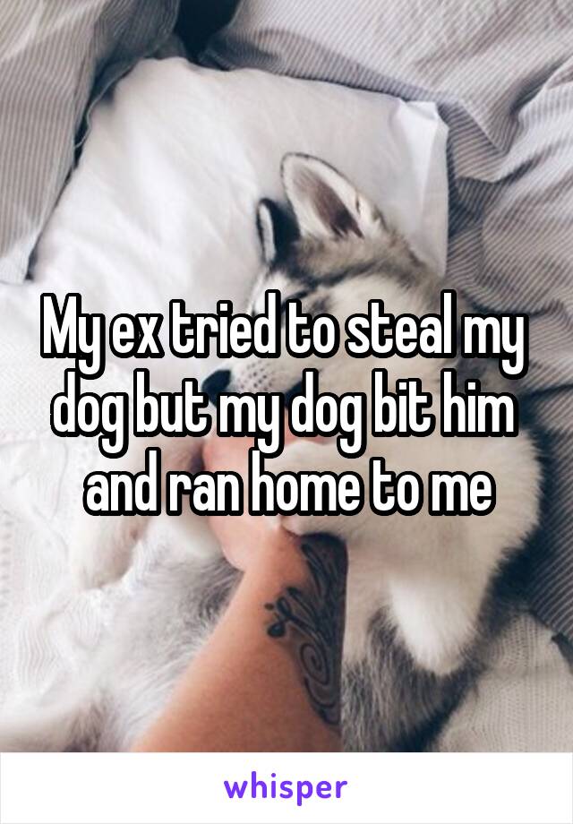 My ex tried to steal my 
dog but my dog bit him 
and ran home to me
