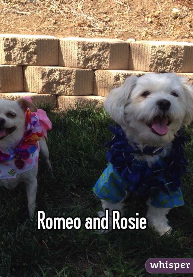 Romeo and Rosie 