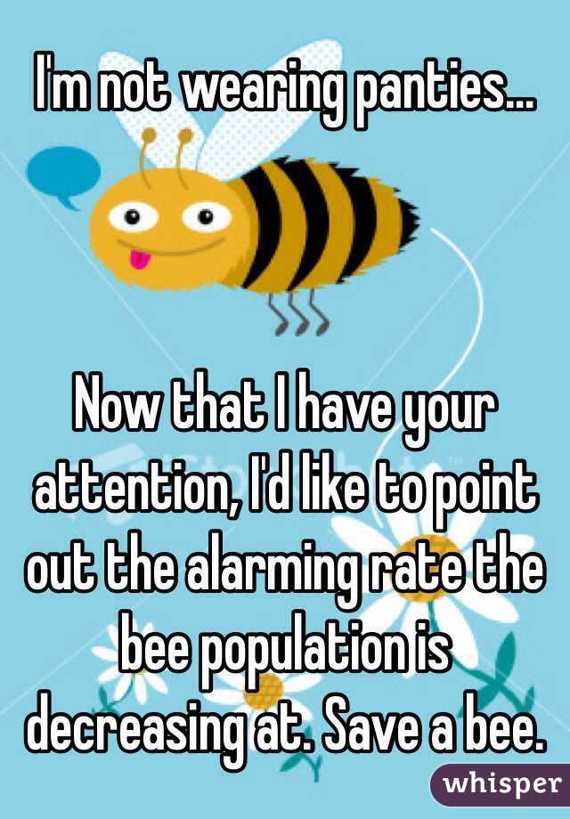 I'm not wearing panties...



Now that I have your attention, I'd like to point out the alarming rate the bee population is decreasing at. Save a bee.