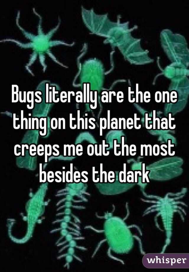 Bugs literally are the one thing on this planet that creeps me out the most besides the dark