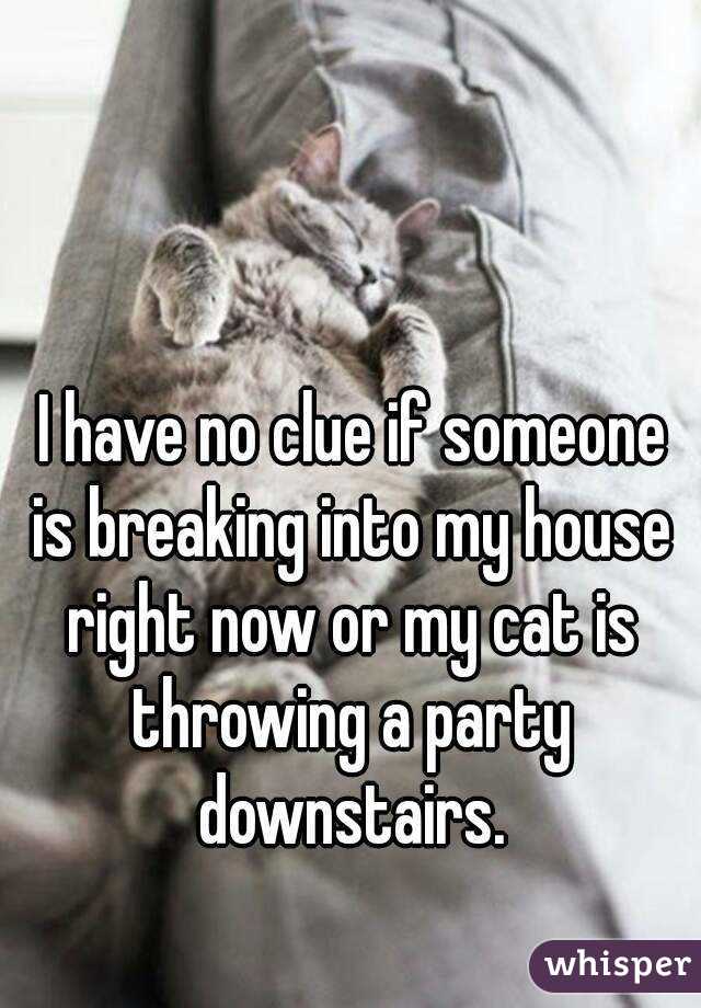  I have no clue if someone is breaking into my house right now or my cat is throwing a party downstairs.