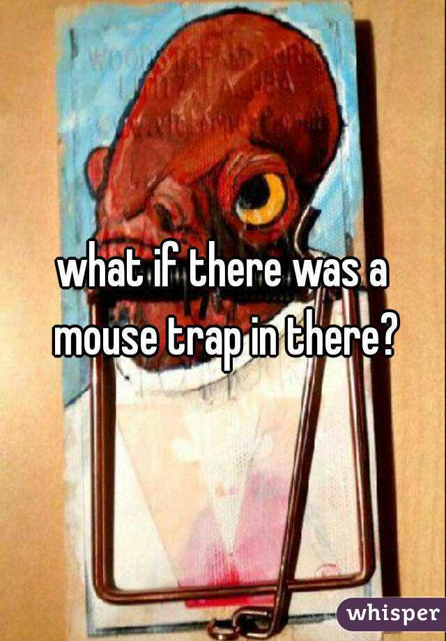 what if there was a mouse trap in there?