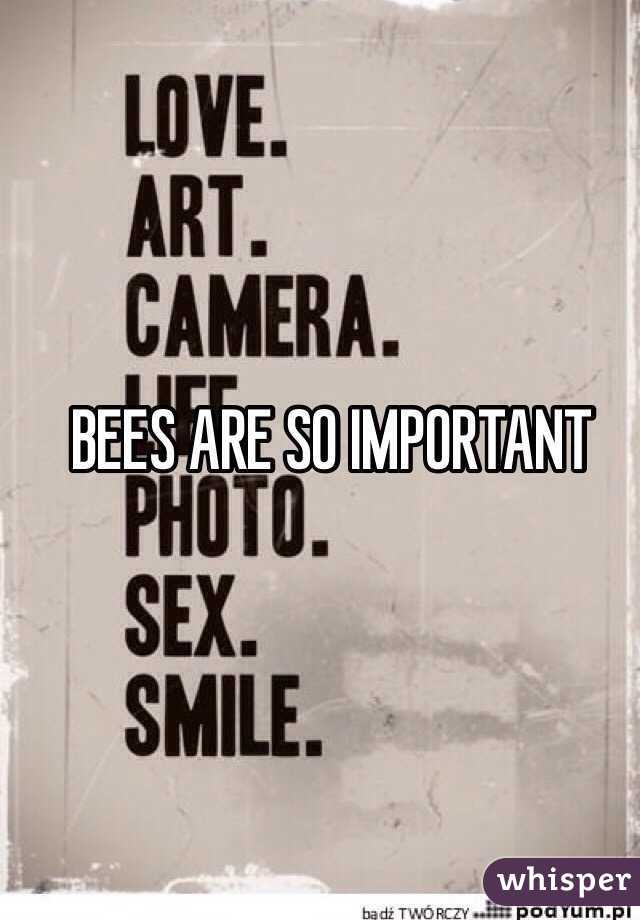 BEES ARE SO IMPORTANT 