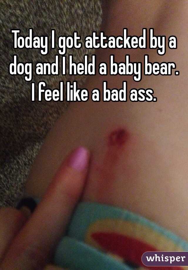 Today I got attacked by a dog and I held a baby bear.  I feel like a bad ass. 