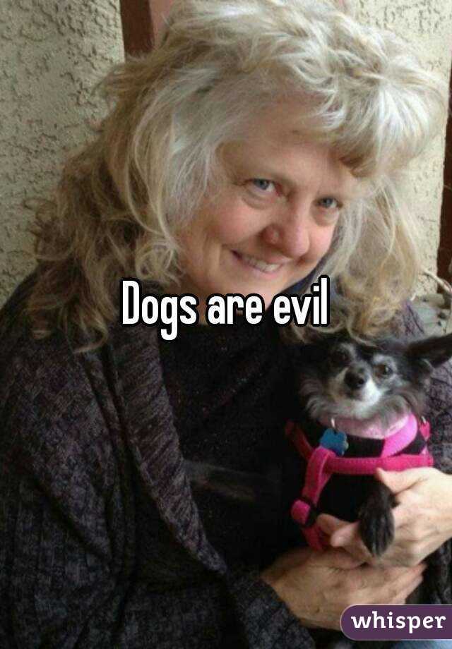 Dogs are evil