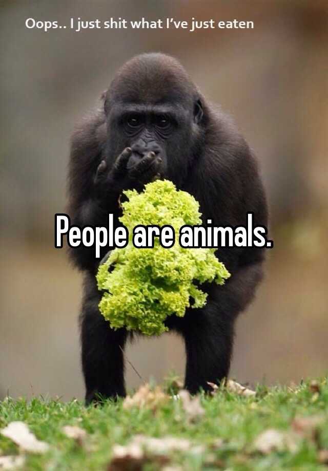 People are animals.