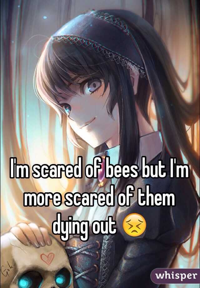 I'm scared of bees but I'm more scared of them dying out 😣