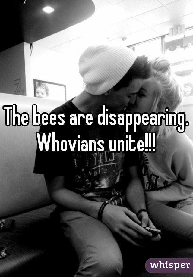 The bees are disappearing. Whovians unite!!! 