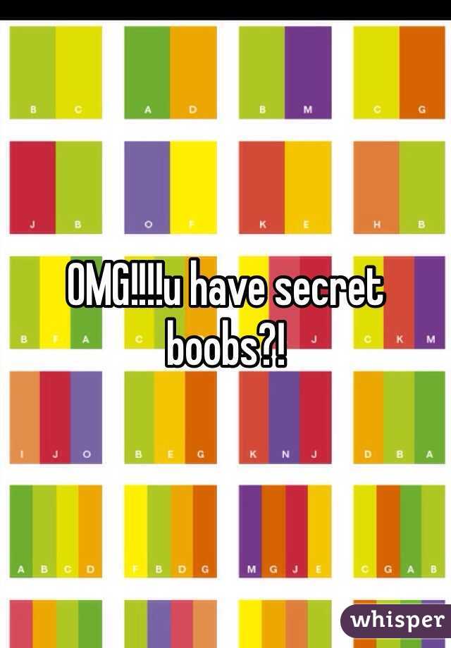 OMG!!!!u have secret boobs?!