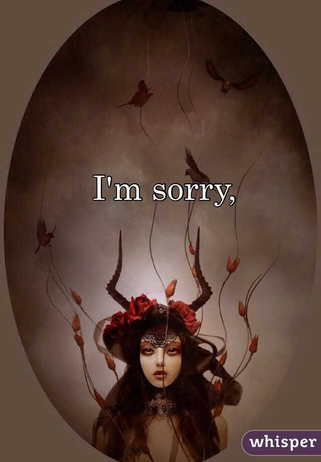 I'm sorry, 