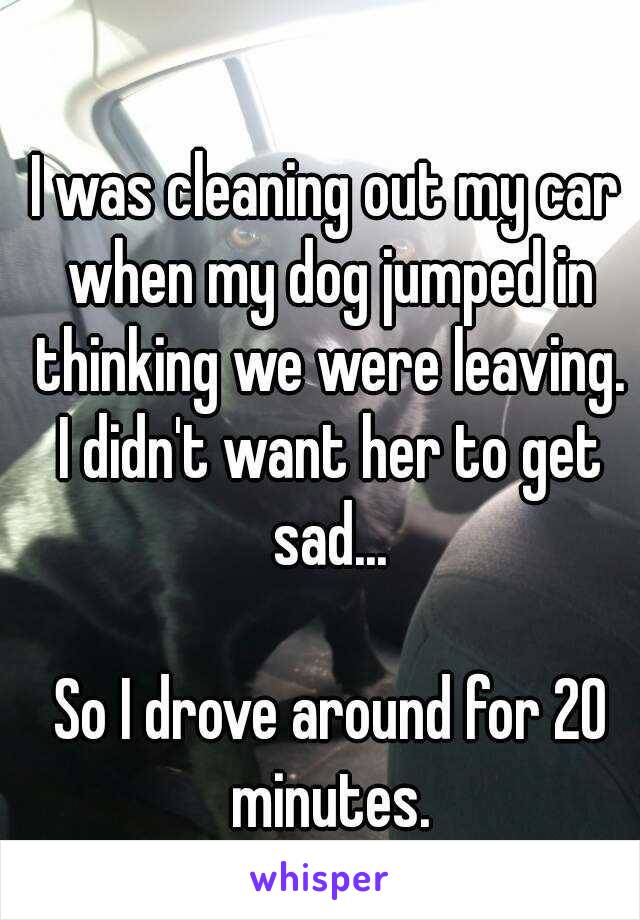 I was cleaning out my car when my dog jumped in thinking we were leaving. I didn't want her to get sad...

 So I drove around for 20 minutes.