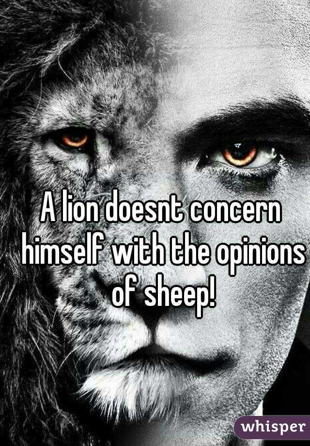 A lion doesnt concern himself with the opinions of sheep!