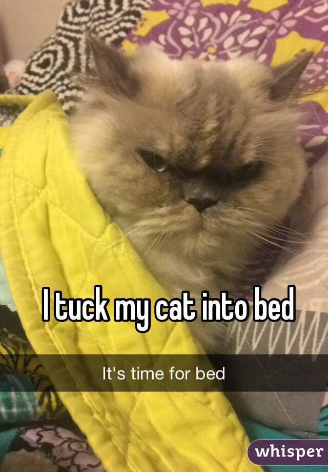 I tuck my cat into bed