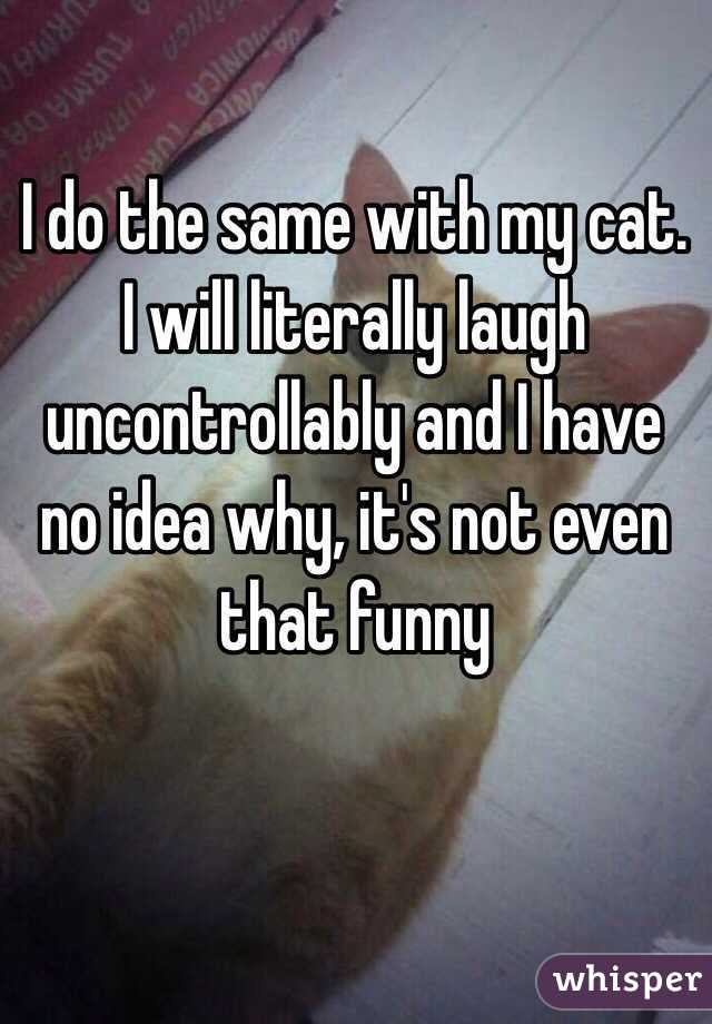 I do the same with my cat. I will literally laugh uncontrollably and I have no idea why, it's not even that funny