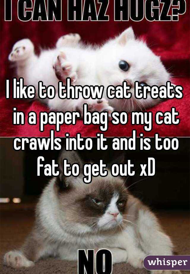 I like to throw cat treats in a paper bag so my cat crawls into it and is too fat to get out xD