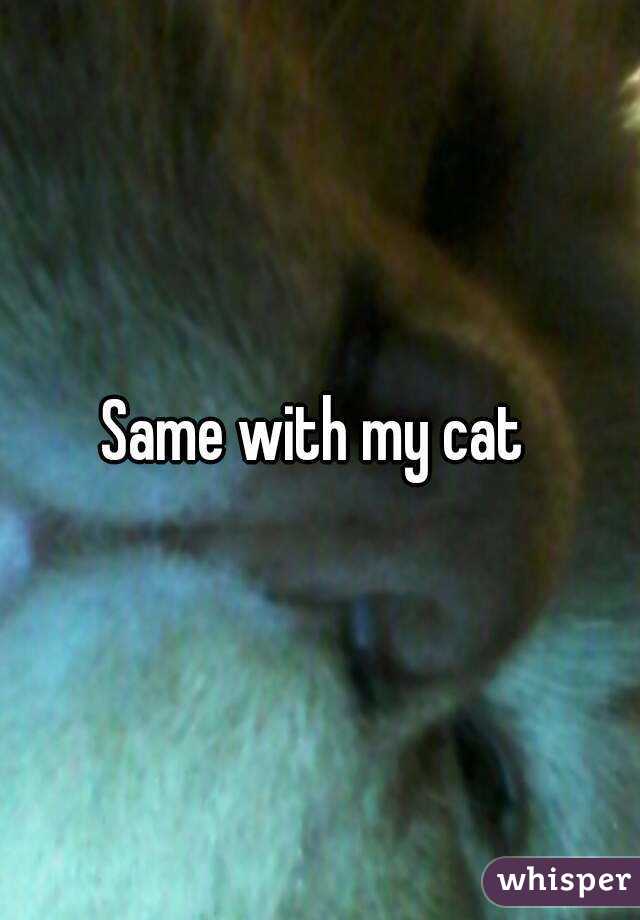 Same with my cat 