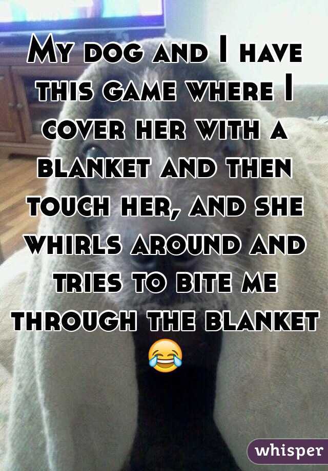 My dog and I have this game where I cover her with a blanket and then touch her, and she whirls around and tries to bite me through the blanket 😂