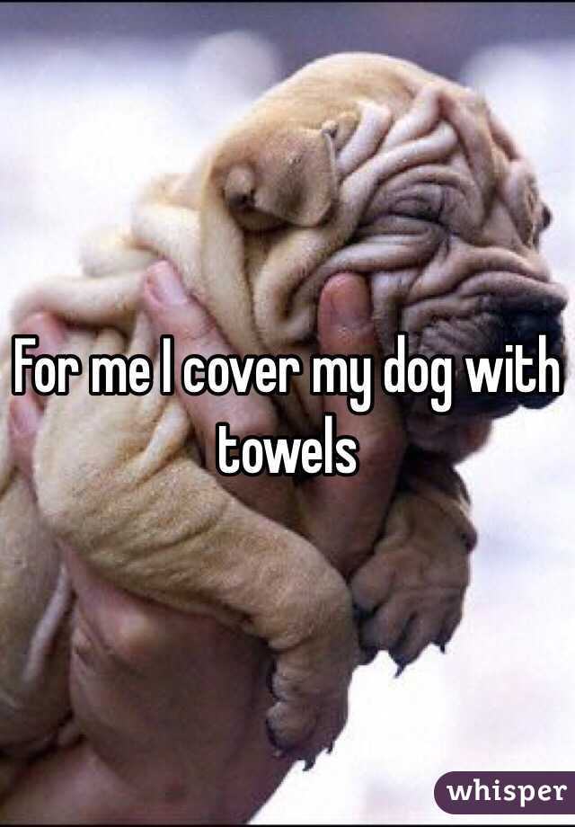 For me I cover my dog with towels