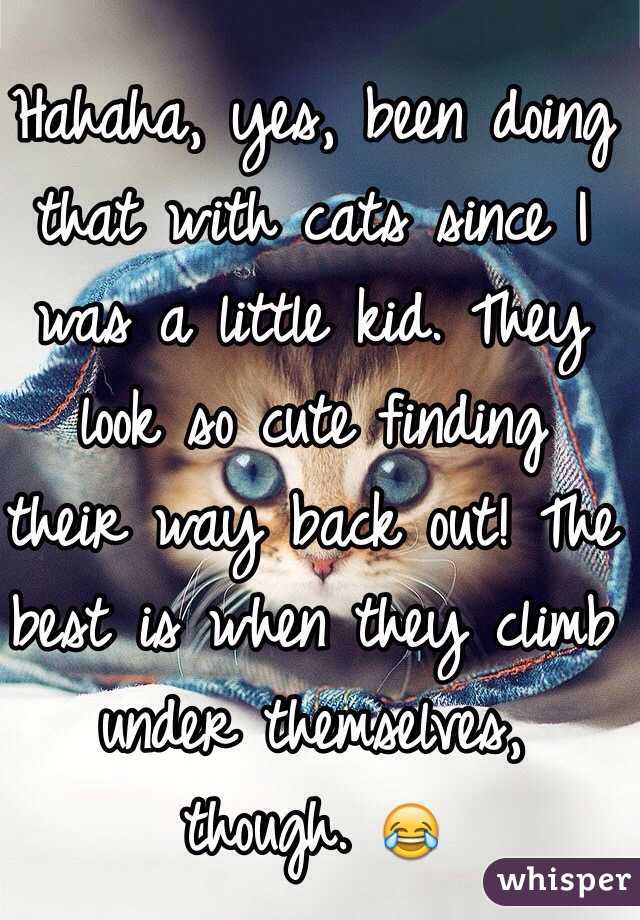 Hahaha, yes, been doing that with cats since I was a little kid. They look so cute finding their way back out! The best is when they climb under themselves, though. 😂