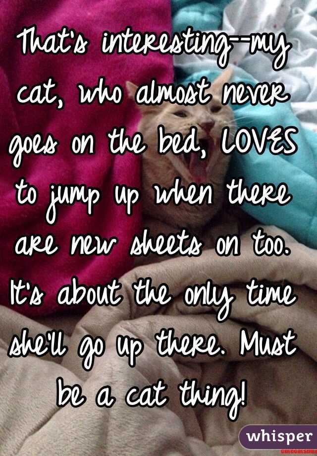 That's interesting--my cat, who almost never goes on the bed, LOVES to jump up when there are new sheets on too. It's about the only time she'll go up there. Must be a cat thing!