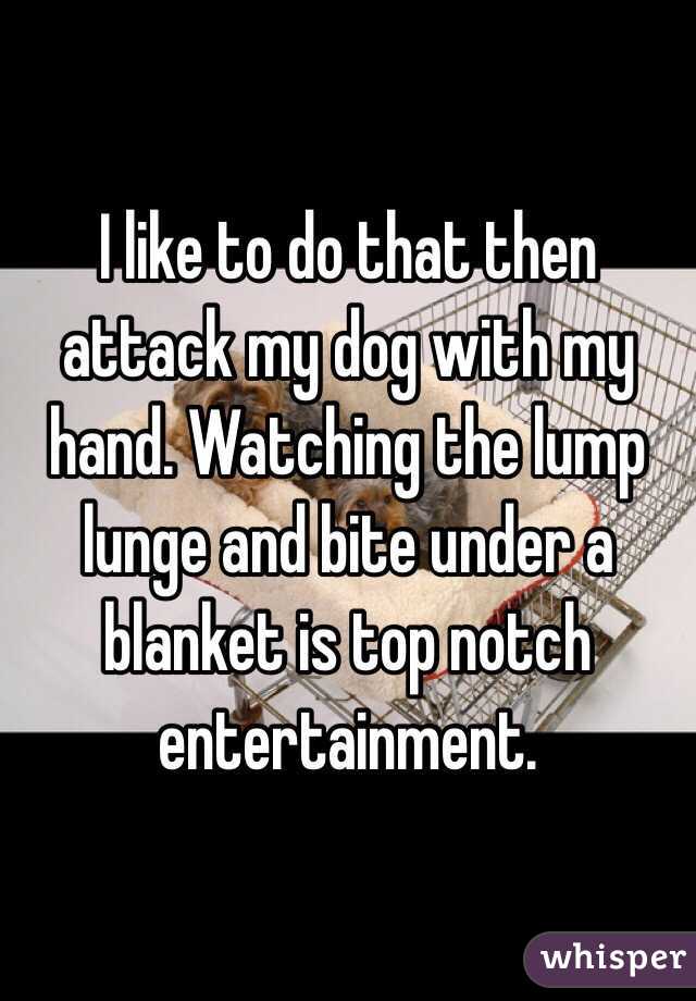 I like to do that then attack my dog with my hand. Watching the lump lunge and bite under a blanket is top notch entertainment. 