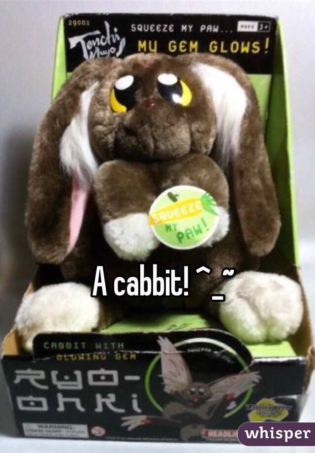 A cabbit! ^_~