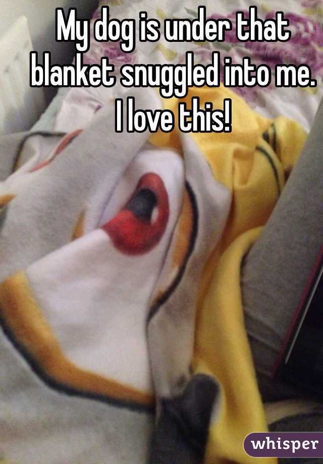 My dog is under that blanket snuggled into me. 
I love this!