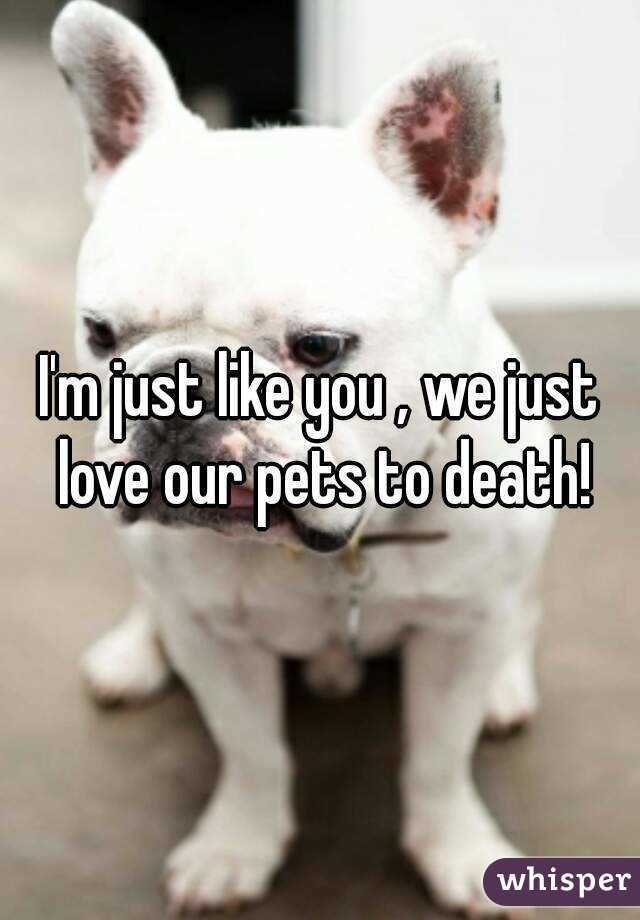 I'm just like you , we just love our pets to death!