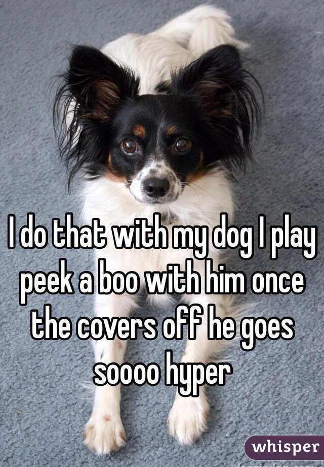 I do that with my dog I play peek a boo with him once the covers off he goes soooo hyper 