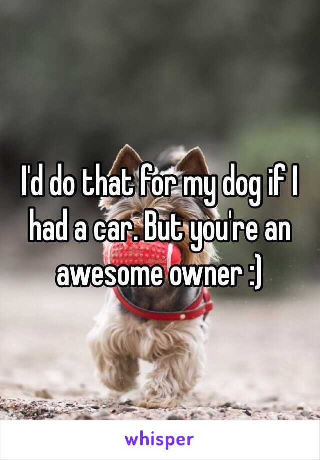 I'd do that for my dog if I had a car. But you're an awesome owner :)