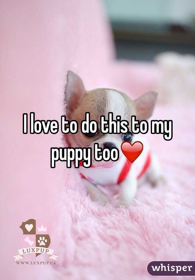 I love to do this to my puppy too❤️